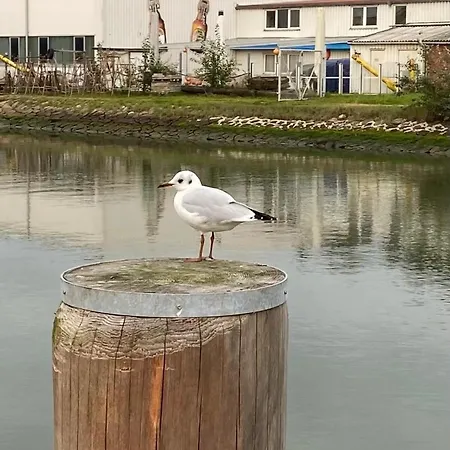 Strandkorb Exklusiv,hafennaehe