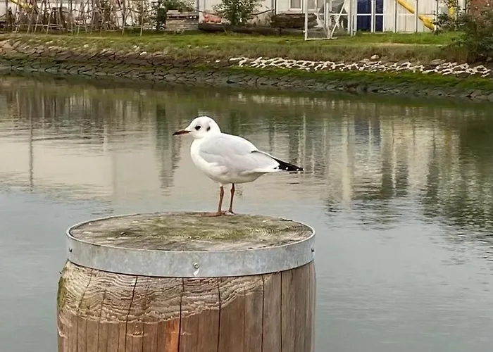 Strandkorb Exklusiv,hafennaehe